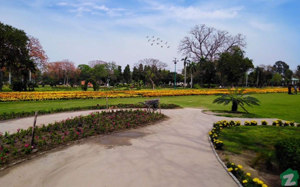 Jinnah Garden Faisalabad
