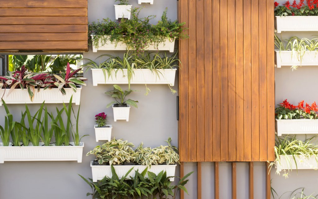 Vertical garden set up on an exterior wall