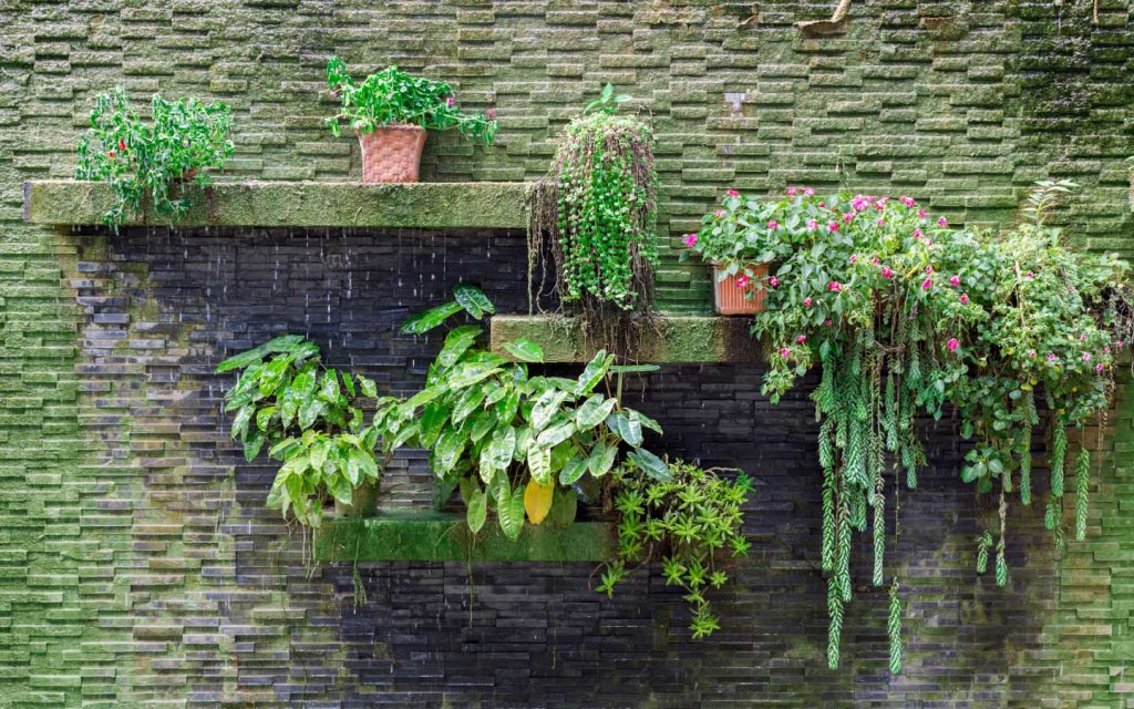 Small vertical garden on stone bricks wall