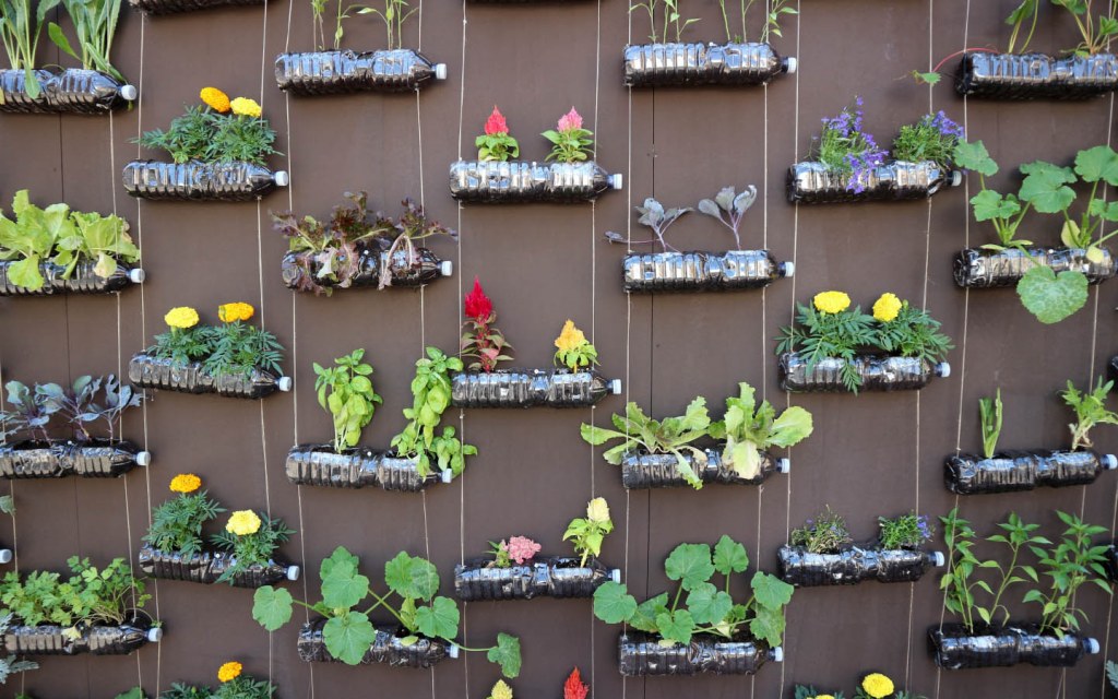Using plastic bottles to start a vertical garden