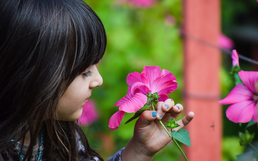 summer activities for kids can involve a simple leaf and flower hunt