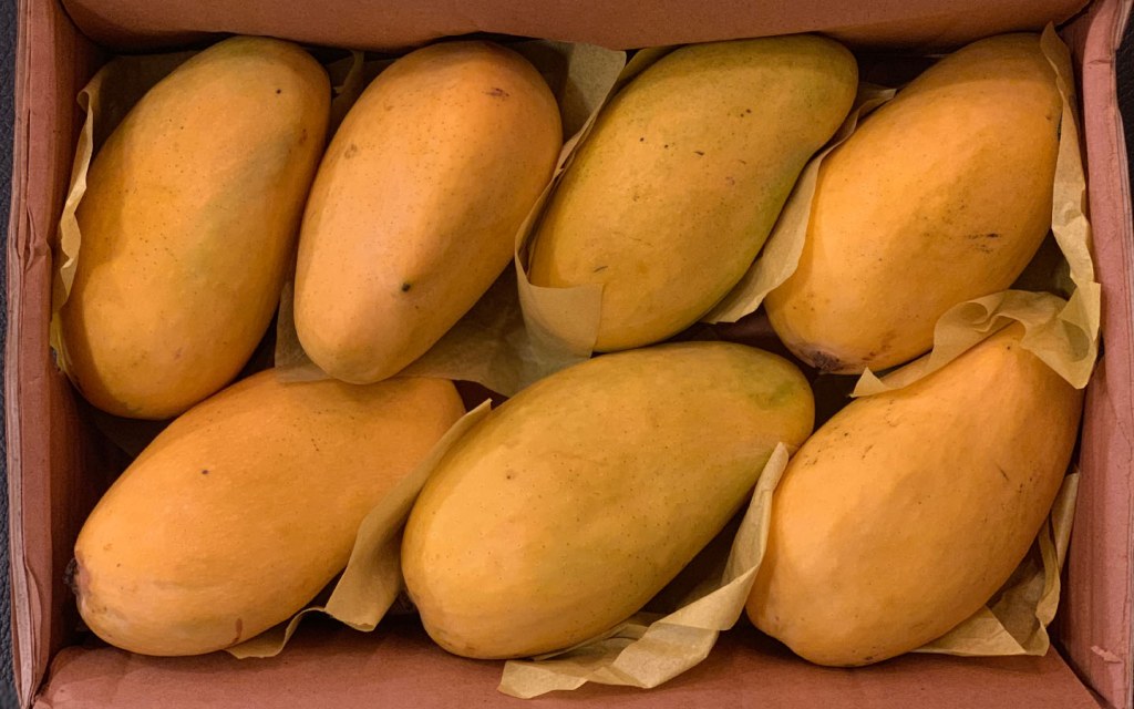 Mango export from Pakistan