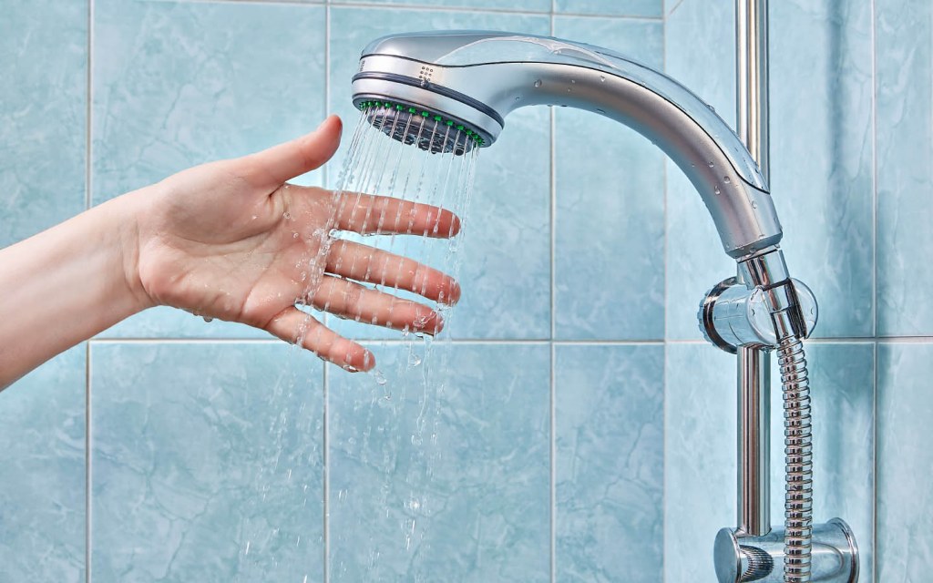deep clean your shower to get rid of germs
