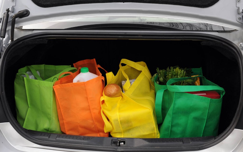 Using Cloth Bags for Groceries