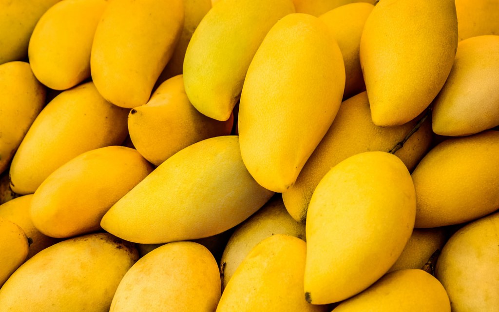 mango production in Pakistan 