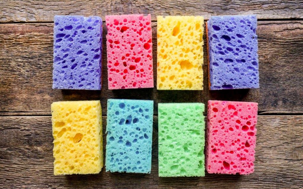 kitchen sponges are full of bacteria