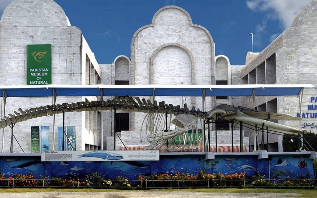 best museums in Islamabad