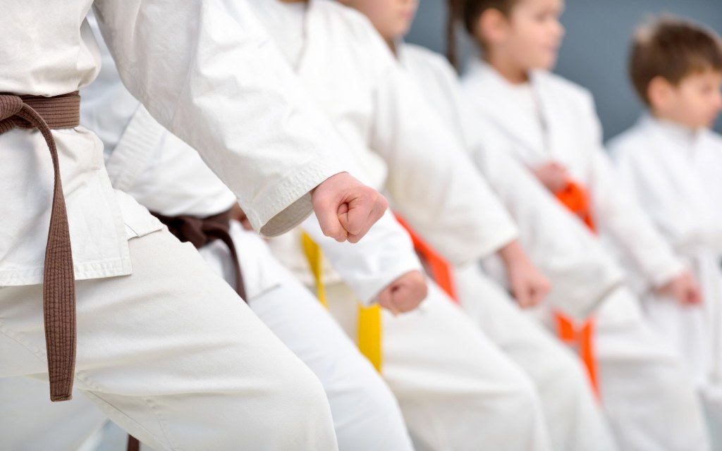 Shotokan Karate Academy is a karate institute in islamabad