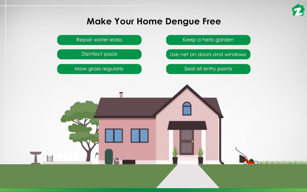 Through simple tips you can make your house free from dengue mosquitoes