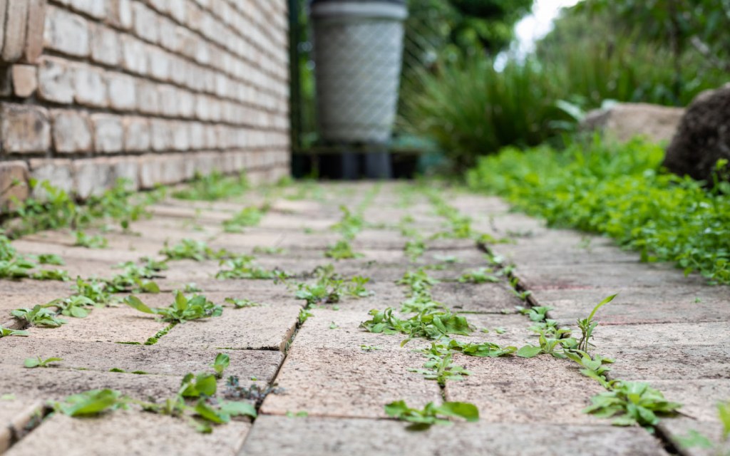A well-maintained yard adds to the curb appeal of the property