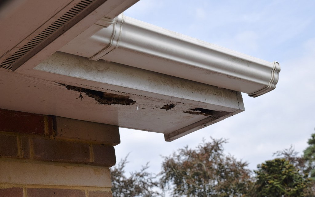 Weather effects result in rotting wood and require a thorough house inspection