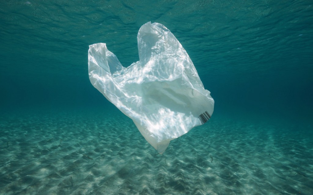 plastic bags underwater can be harmful for sea animals
