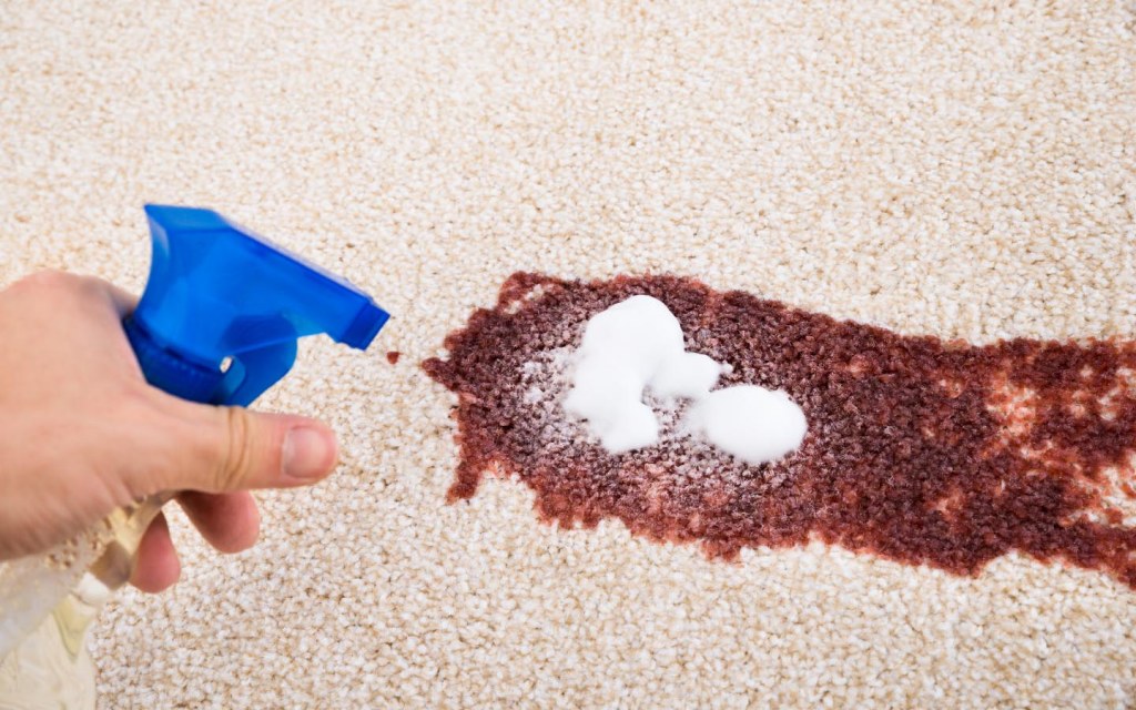 This is how you can remove carpet stains