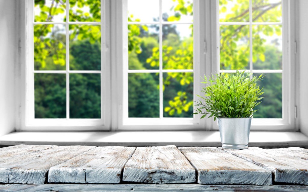 Window placement needs to maximise the flow of light and air in a home