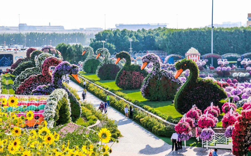 Dubai Miracle Garden is one of the top places to visit in Dubai