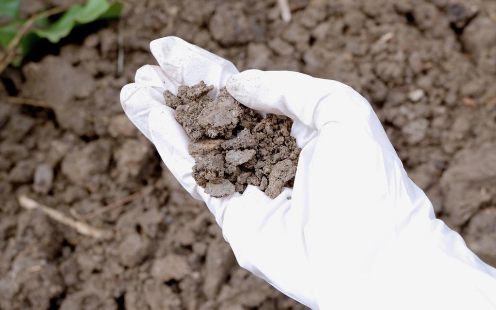 Conduct soil tests