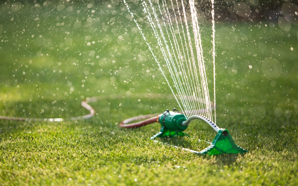 You can conserve water and opt for artificial turf too