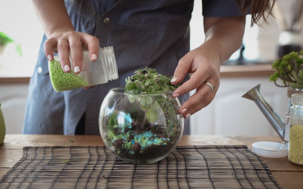 Terrariums can be made beautiful if you add colourful pebbles