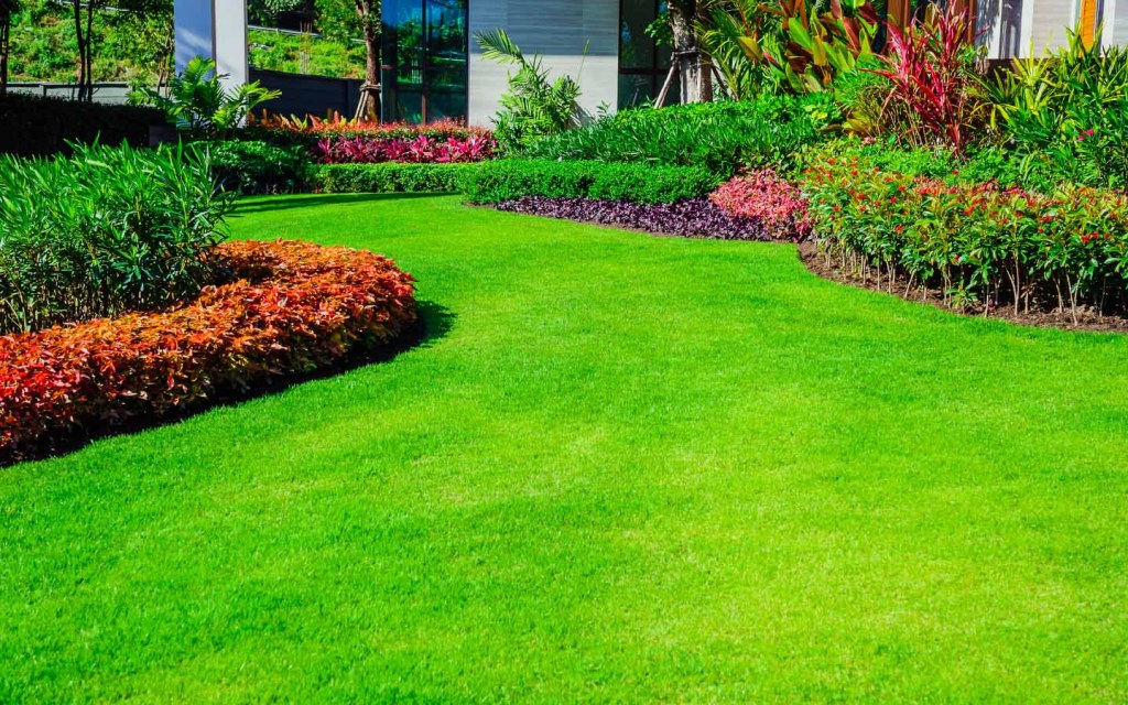 Having a front garden will increase your property's rental value