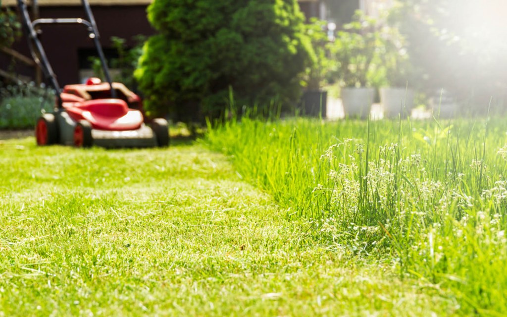Mow your lawn and clean the debris 