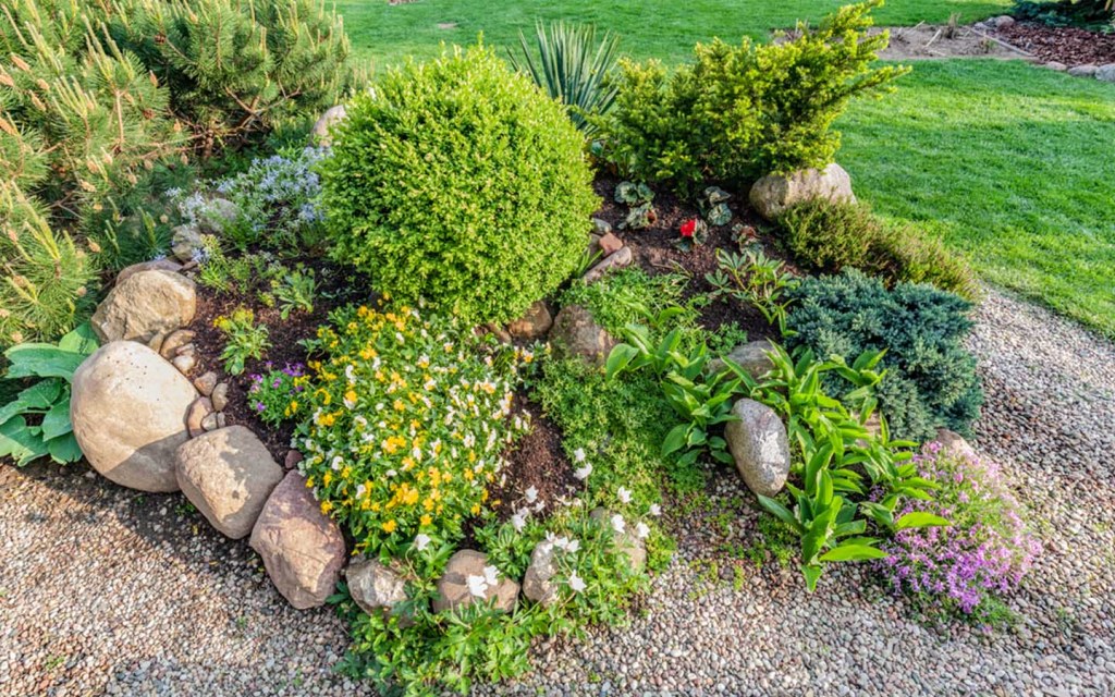 DIY Rock Garden