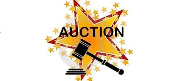 LDA all set to auction residential and commercial plots