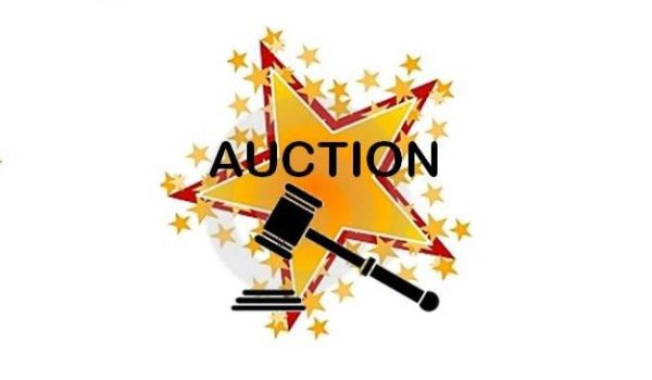 LDA all set to auction residential and commercial plots