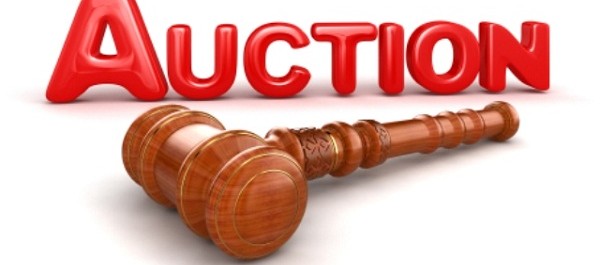 auction of plots