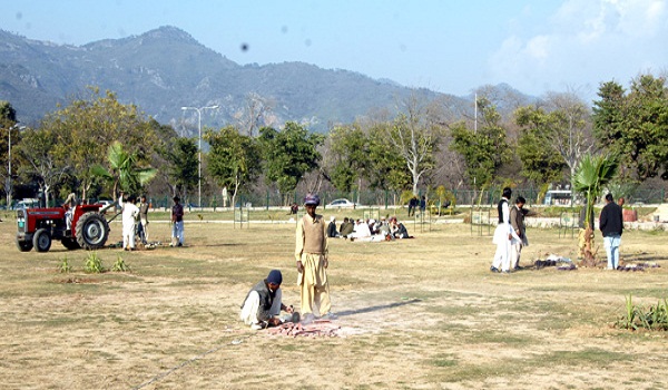 illegal buildings razed