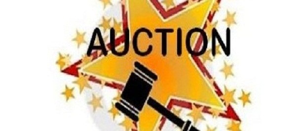 LDA to auction plots in different societies