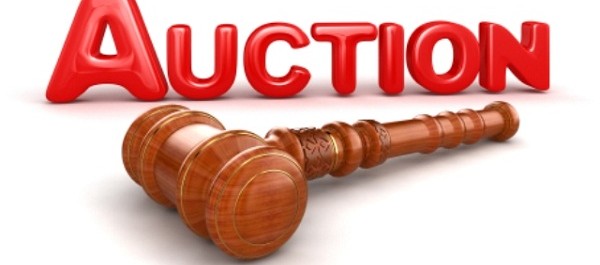 auction of commercial plots