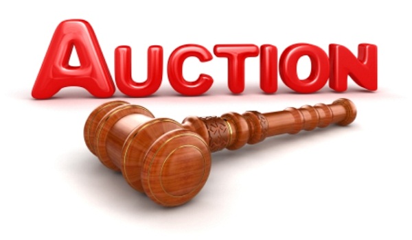 auction of commercial plots