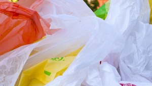 polythene bags