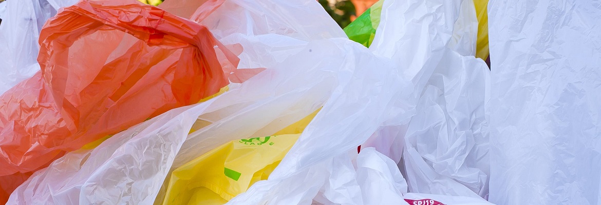 polythene bags