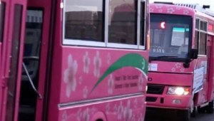 Pink Buses for female commuters in KP