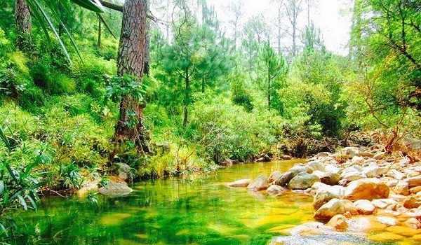 Scenic view of a stream in Kotli Sattian