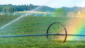 Crop irrigation systems